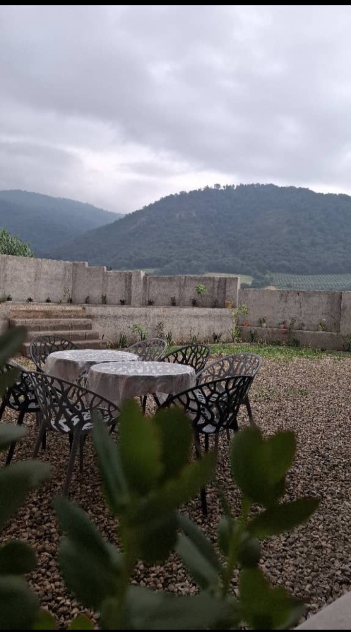 گالری تصاویر